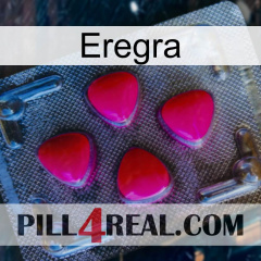 Eregra 13